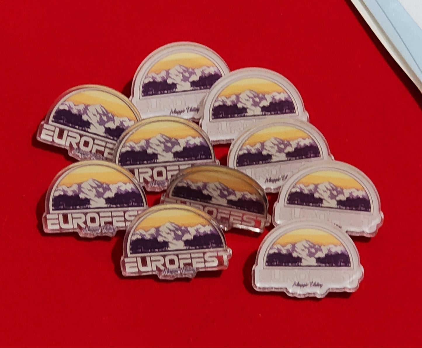 Buttons and Pins